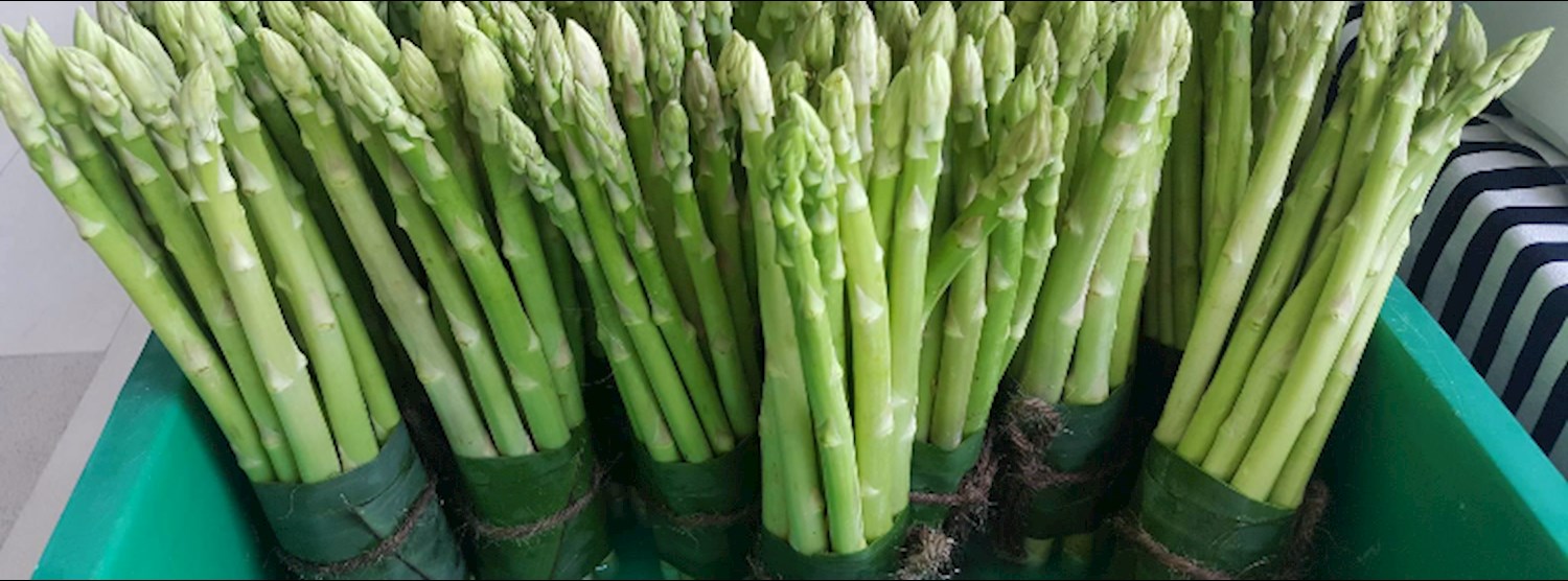 Bangkok Farmer's Market at Habito Mall Oct 7th - 8th Zipevent