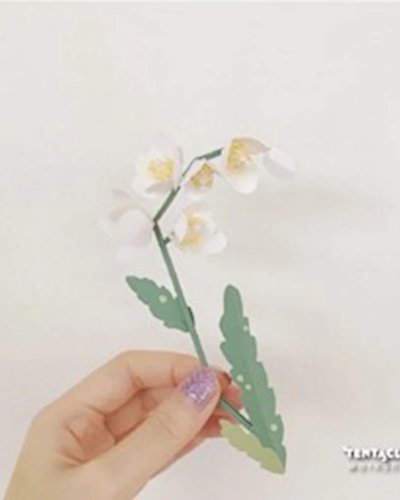 ‘Flower Terrarium’ Paper Craft Workshop Zipevent