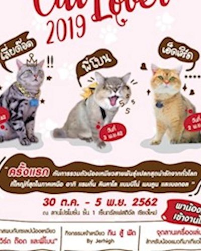 CAT LOVER 2019 Zipevent