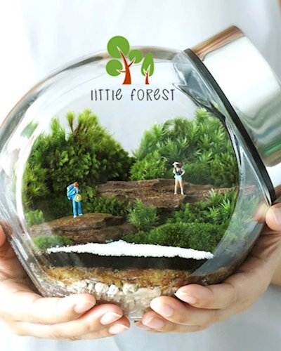 จัดสวนขวด Terrarium โดย ครูเต้ แห่ง Little Forrest Zipevent