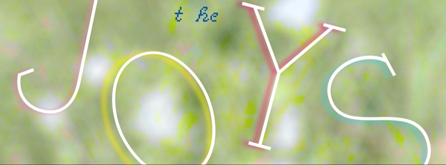  A Place Where the Joys Meet Zipevent