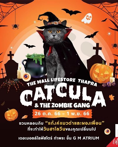 THE MALL LIFESTORE THAPRA ​CATCULA & THE ZOMBIE GANG Zipevent