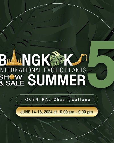 Bangkok International Exotic Plants Show and Sale Summer Show 2024 Zipevent