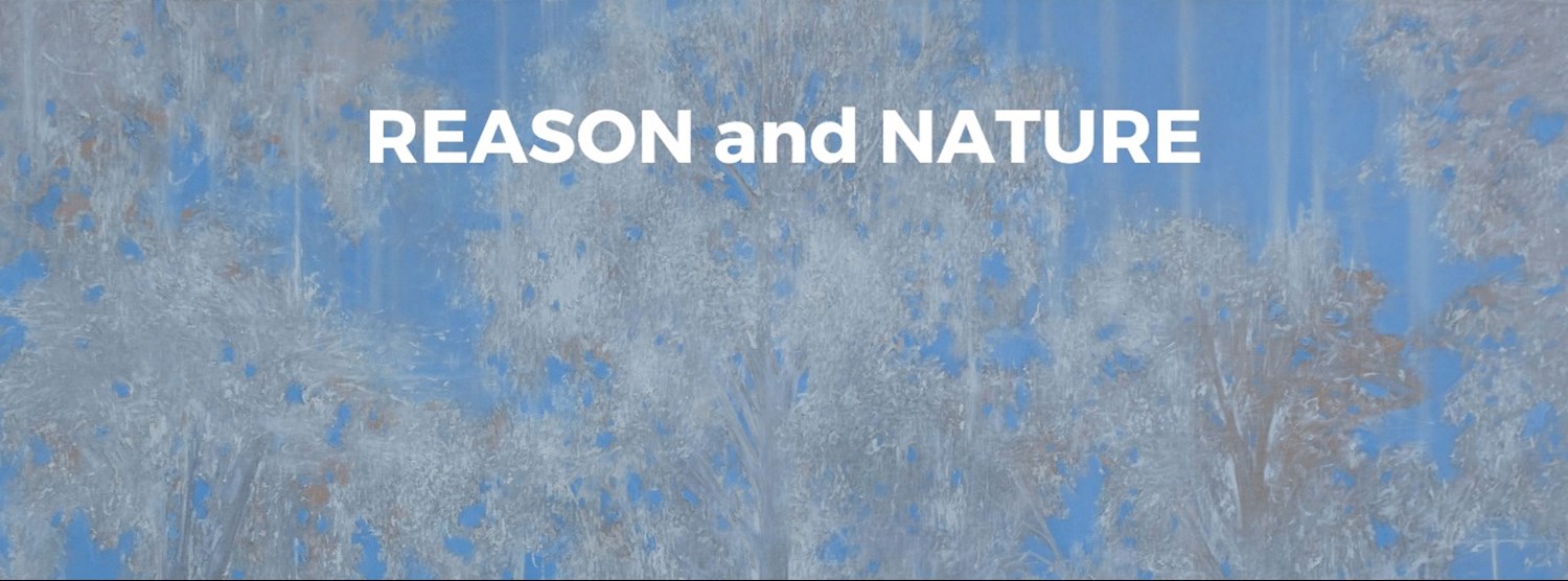 REASON and NATURE  Zipevent