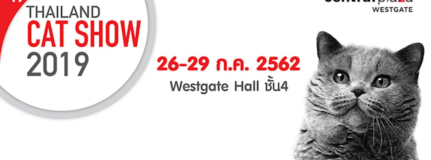 19th Thailand Cat Show 2019 Zipevent