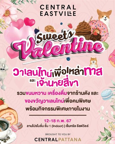Sweets Valentine Zipevent