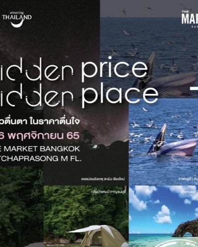 HIDDEN PRICE HIDDEN PLACE Zipevent