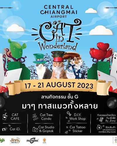 Cat in Wonderland 2023 Zipevent