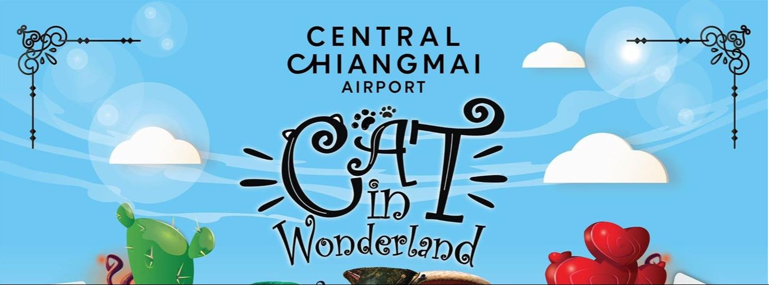 Cat in Wonderland 2023 Zipevent