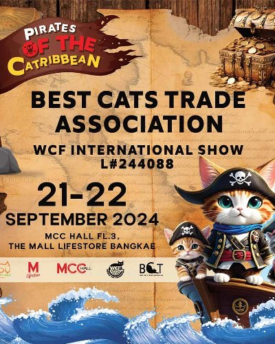 Pirates of the Catribbean Zipevent