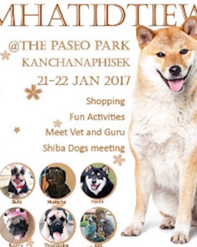 หมาติดเที่ยว @ The Paseo Park Zipevent