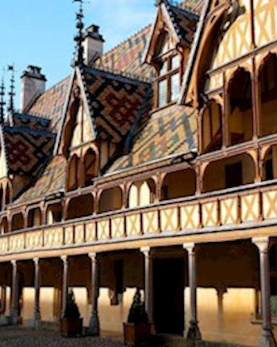 Great Burgundy wine-tasting and dinner Zipevent