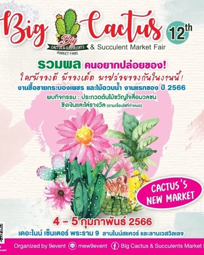 Big Cactus 12 Zipevent