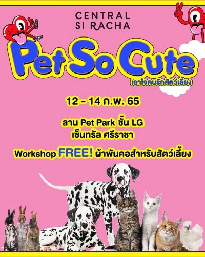 Pet So Cute Zipevent