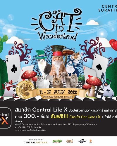 Cat in Wonderland Zipevent