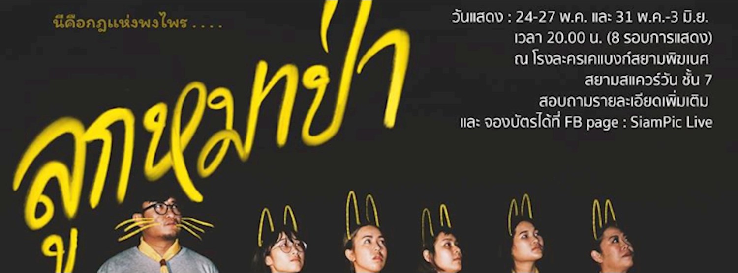 ‘ลูกหมาป่า’ Zipevent