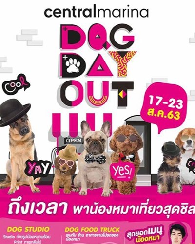 Dog Day Out Zipevent