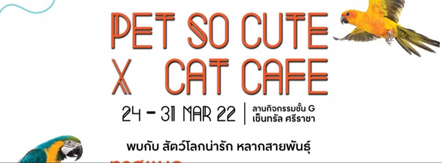 Pet So Cute x Cat Cafe’ Zipevent