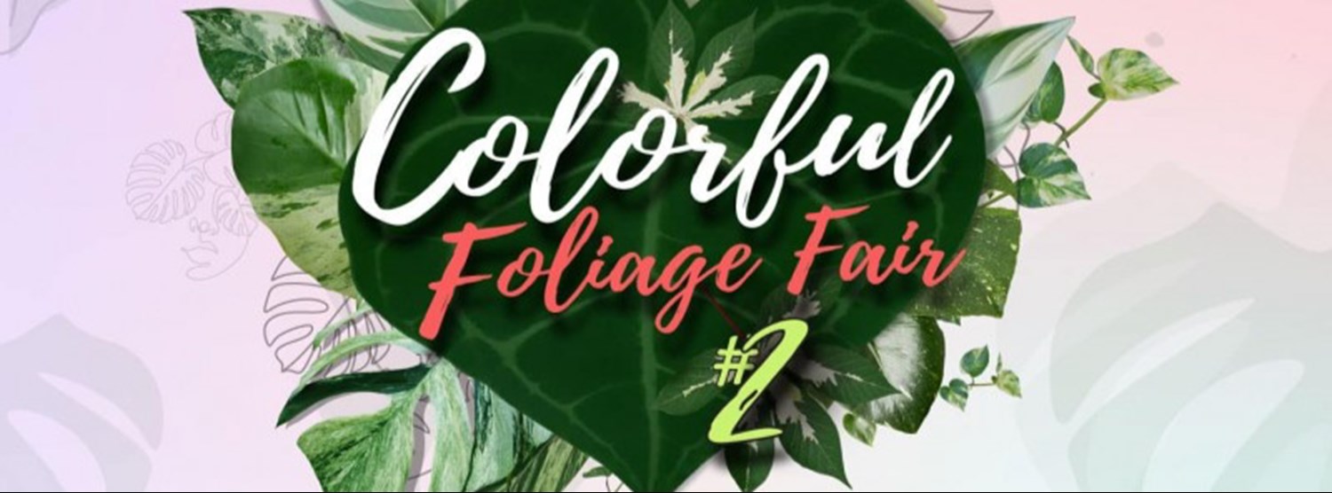 Colorful Foliage Fair #2 Zipevent