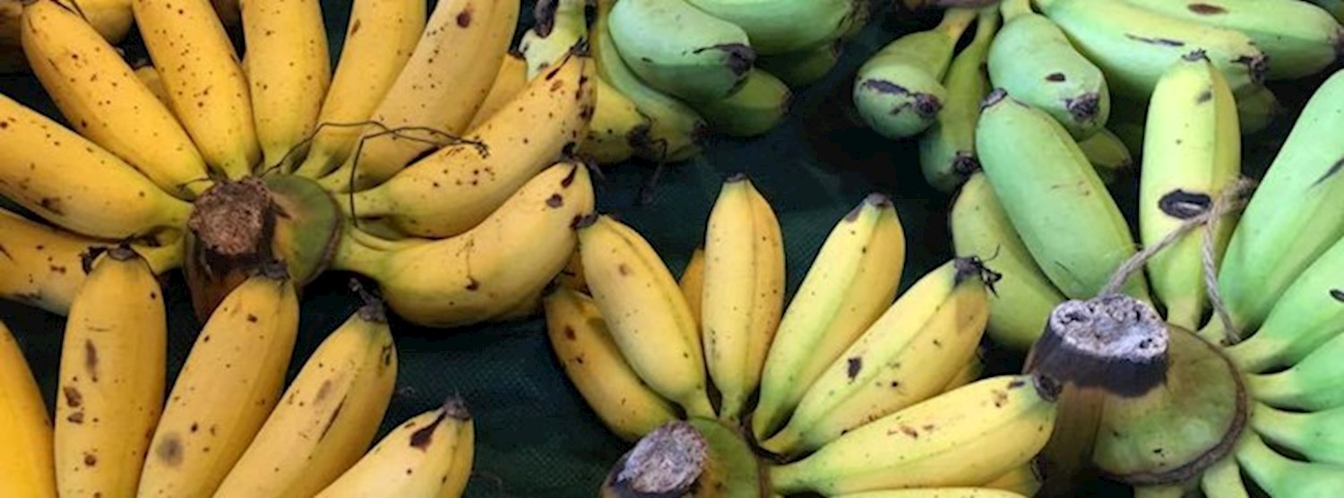 Bangkok Farmer's Market at Gateway Ekamai Febuary 25th - 26th Zipevent