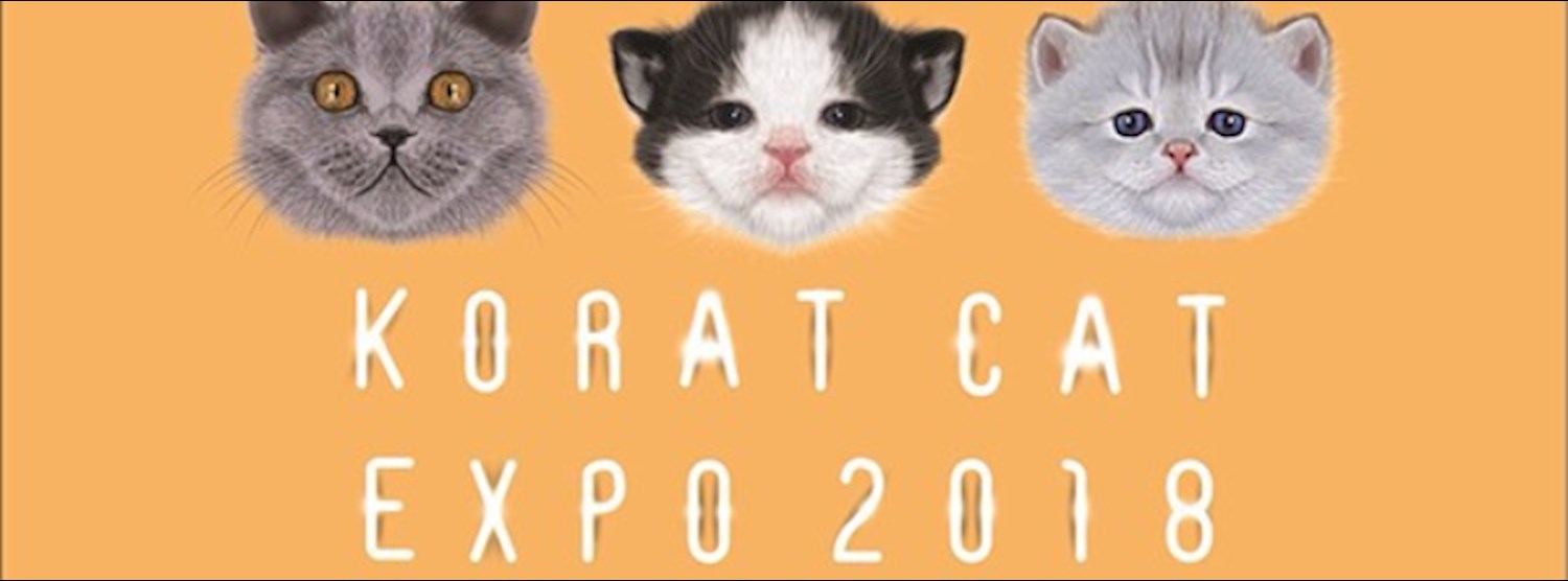 Korat Cat Expo 2018 Zipevent