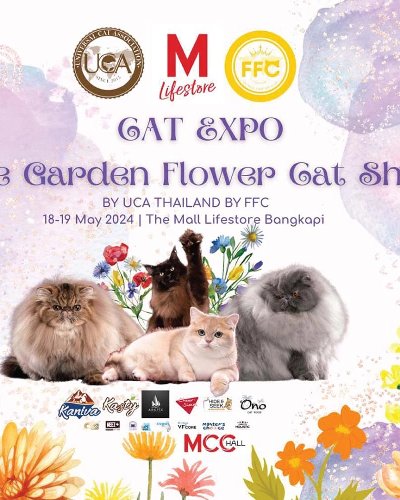 CAT EXPO “THE GARDEN FLOWER CAT SHOW” BY UCA THAILAND BY FFC Zipevent