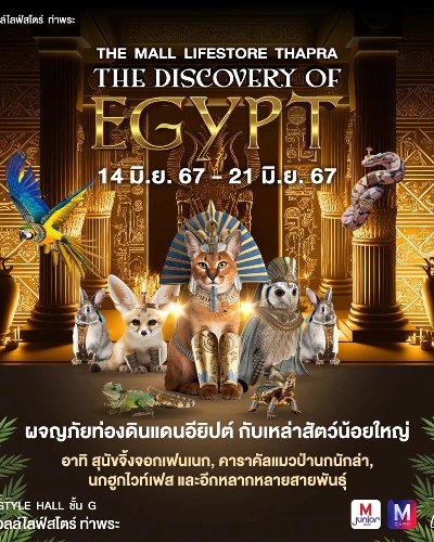 THE MALL LIFESTORE THAPRA THE DISCOVERY OF EGYPT Zipevent