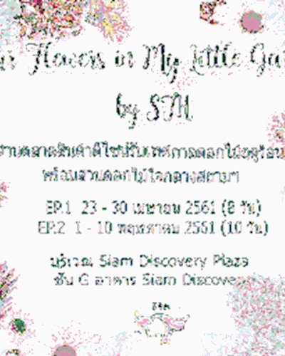 Your Flowers in My Little Garden by STH Ep.1 Zipevent