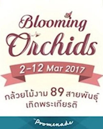 Blooming Orchids Zipevent