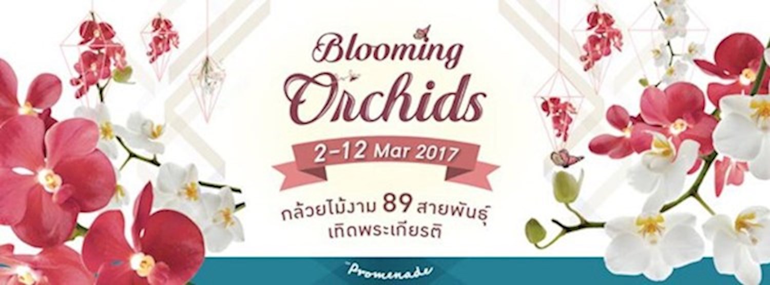 Blooming Orchids Zipevent