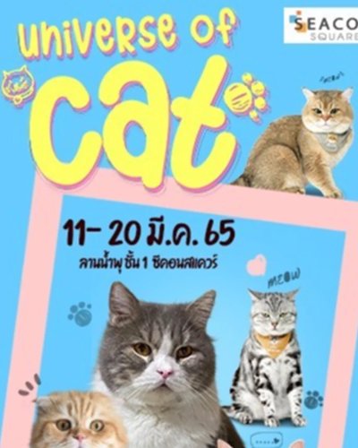 Universe of CAT Zipevent