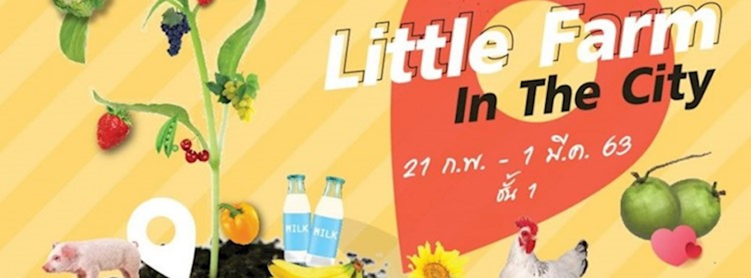 Little Farm in the city Zipevent