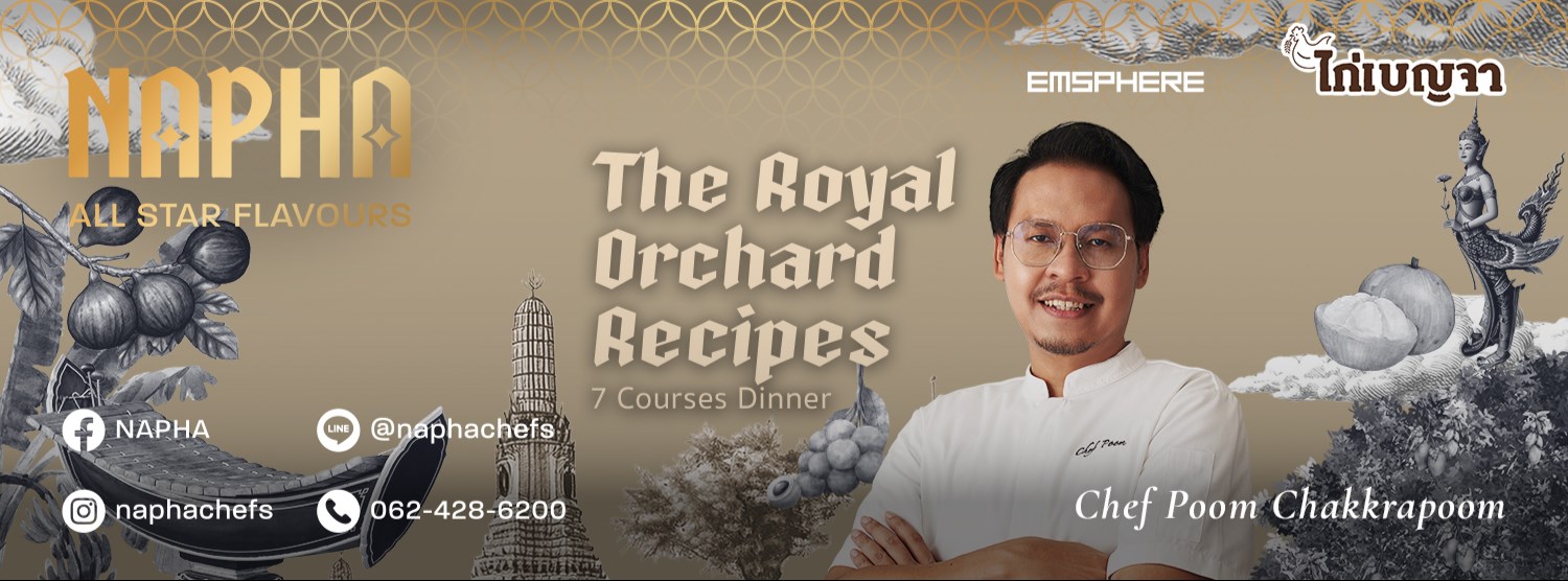 Napha X WI-SET-WI-SO Zipevent