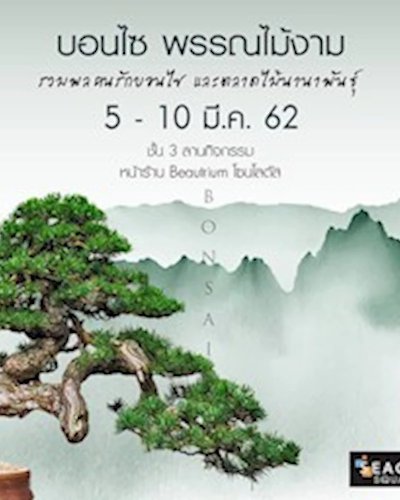 บอนไซ พรรณไม้งาม Zipevent