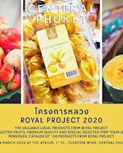 โครงการหลวง Royal Project ครั้งที่ 3 Zipevent