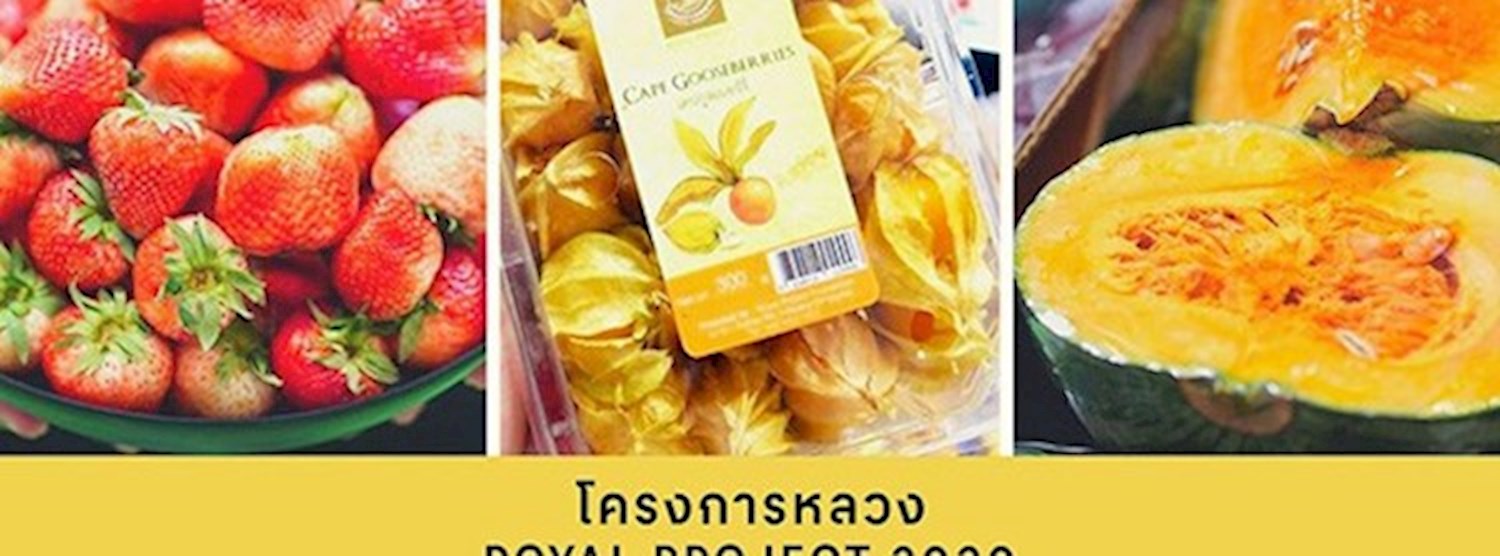 โครงการหลวง Royal Project ครั้งที่ 3 Zipevent