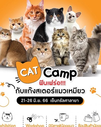 CAT CAMP ฟินเฟร่อ กับแก๊งสเตอร์แมวเหมียว Zipevent