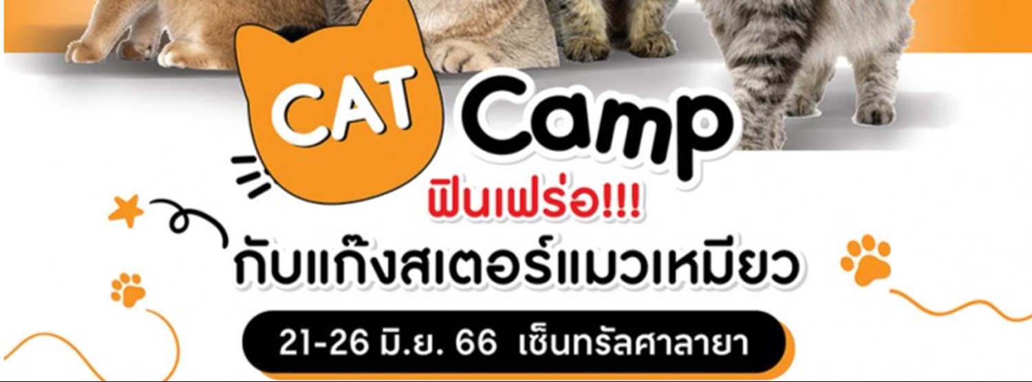 CAT CAMP ฟินเฟร่อ กับแก๊งสเตอร์แมวเหมียว Zipevent