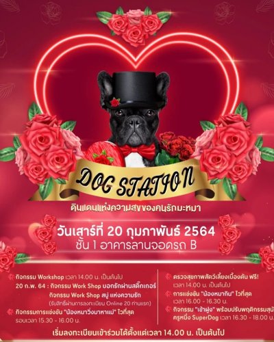 Dog Station ดินแดนแห่งความสุขของคนรักมะหมา Zipevent