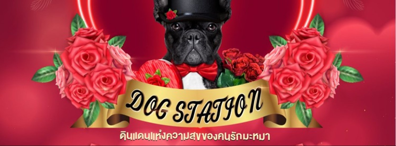 Dog Station ดินแดนแห่งความสุขของคนรักมะหมา Zipevent