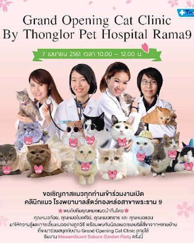 Grand Opening Cat Clinic By Thonglor Pet Hospital Rama9 Zipevent