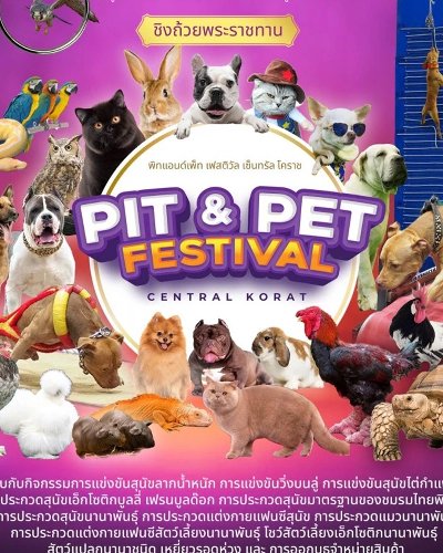 PIT & PET Festival Central Korat 2023 Zipevent