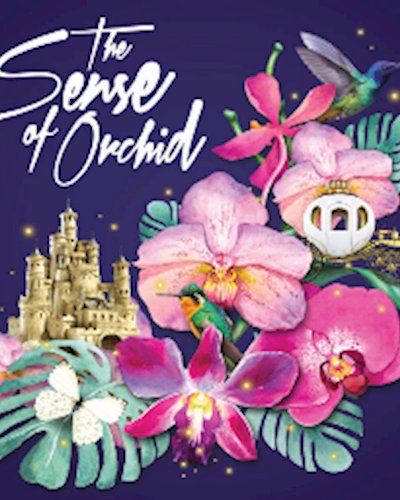 The Senses of Orchid Zipevent
