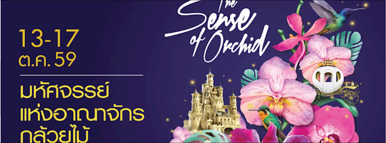 The Senses of Orchid Zipevent