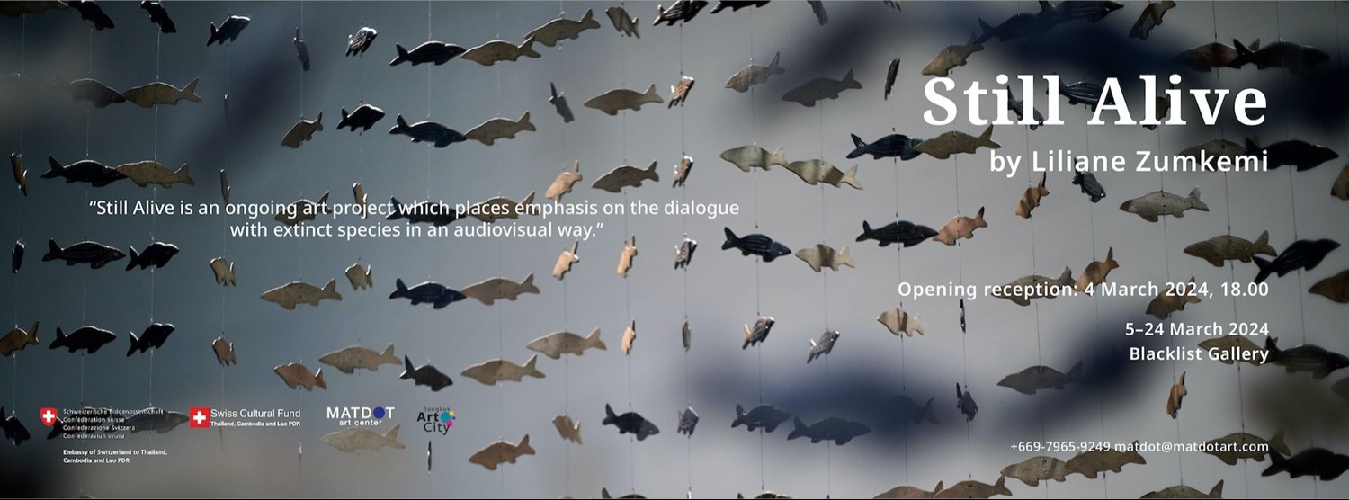 Still Alive Zipevent