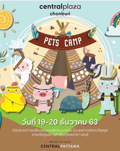 Pets Camp Zipevent