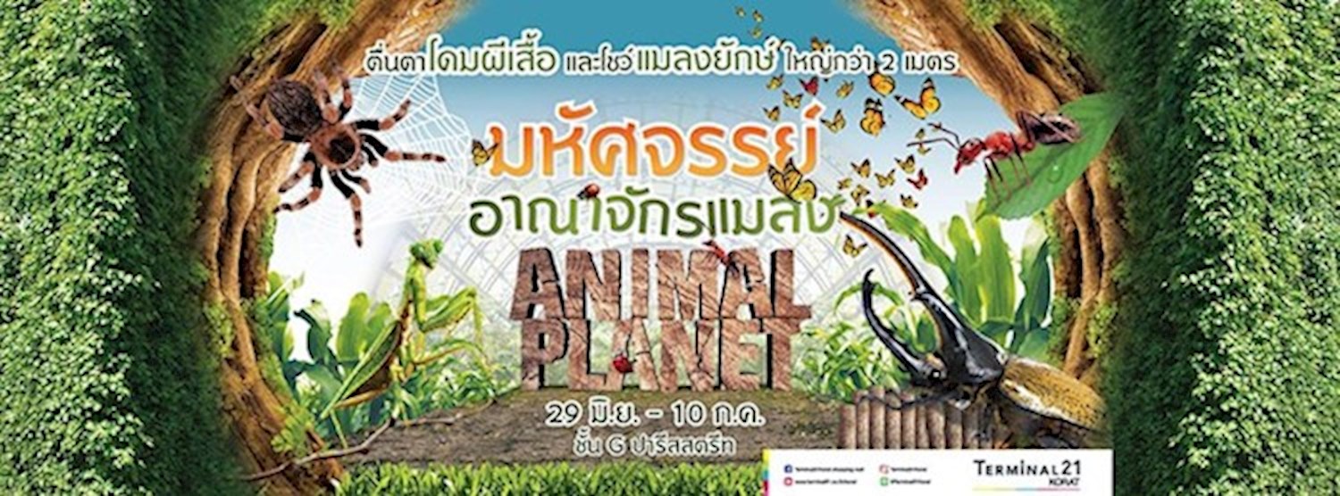 ANIMAL PLANET Zipevent