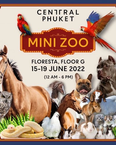 Mini Zoo Zipevent