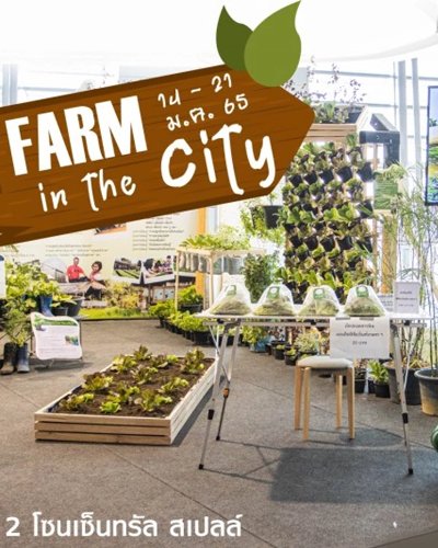 Farm in the city Zipevent