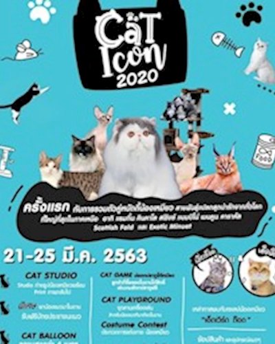 Cat ICon 2020 Zipevent